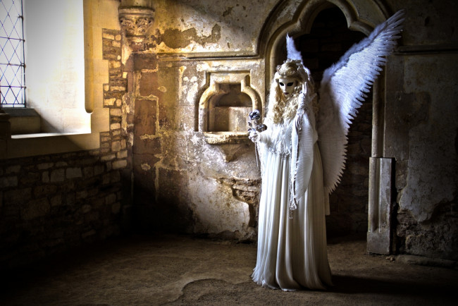 Обои картинки фото разное, маски, карнавальные, костюмы, крылья, роза, ангел