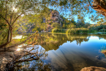 Картинка природа реки озера вода деревья