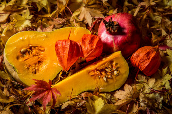 Картинка еда фрукты овощи вместе гранат тыква физалис