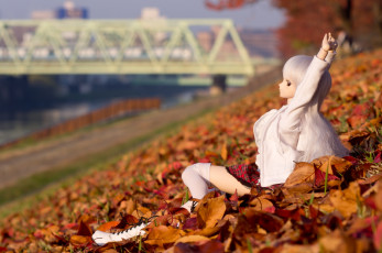 Картинка разное игрушки кукла