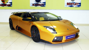 Картинка lamborghini murcielago автомобили выставки уличные фото италия спортивные automobili holding s p a класс-люкс