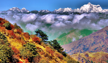 Картинка природа горы кустарник деревья трава ущелье снега вершины