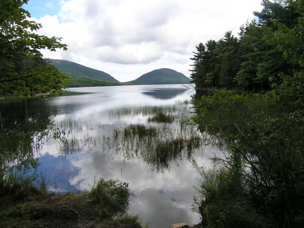 Обои картинки фото аcadia, national, park, сша, природа, реки, озера, деревья, горы, река, парк