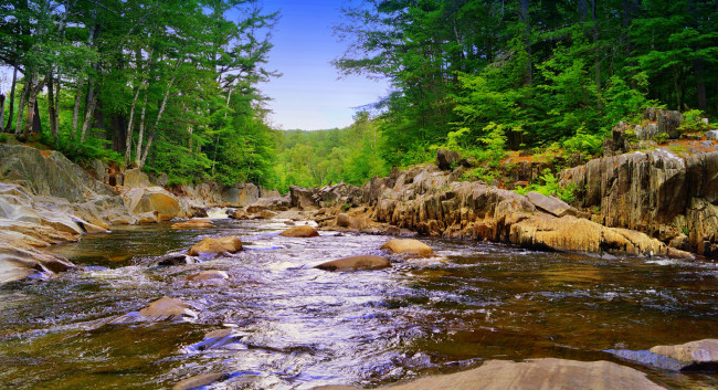 Обои картинки фото природа, реки, озера, камни, лес, река