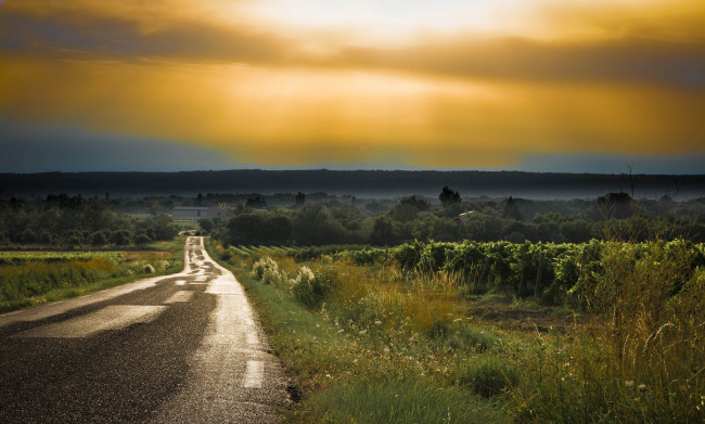 Обои картинки фото природа, дороги, поле, свет, тучи, деревья, дорога, трава