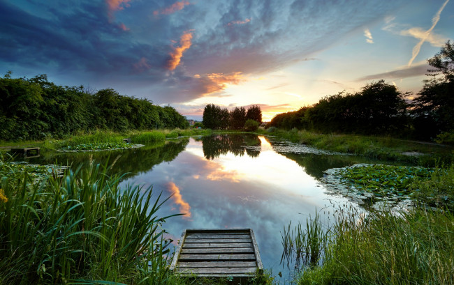 Обои картинки фото природа, реки, озера, лес, заря, облака, мостик, озеро, осока