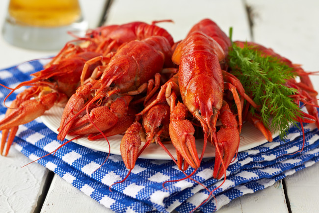 Обои картинки фото еда, рыба, морепродукты, суши, роллы, раки