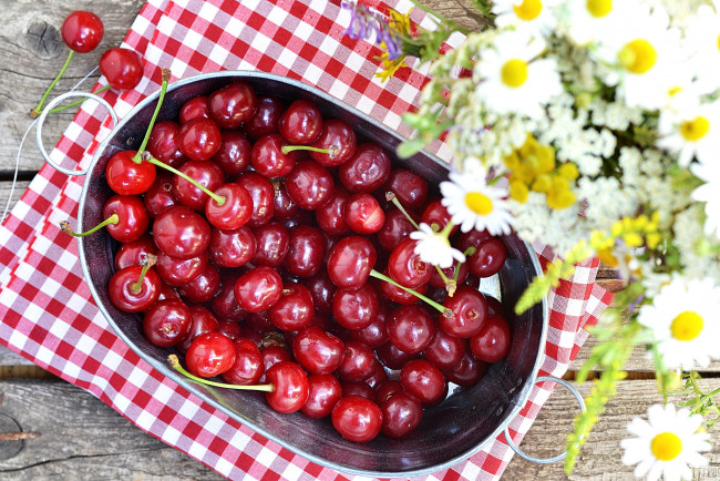 Обои картинки фото еда, вишня, черешня, вишни, ромашки