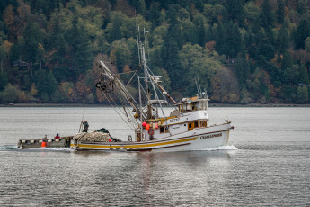 Картинка корабли баркасы+ +буксиры рыболов