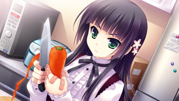 Картинка аниме unknown +другое tsurugi hagane девочка guardian place suminoin ouka арт