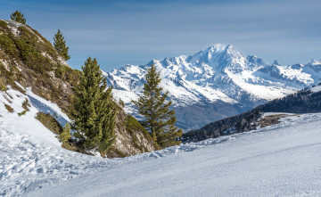 Картинка природа горы снег лес