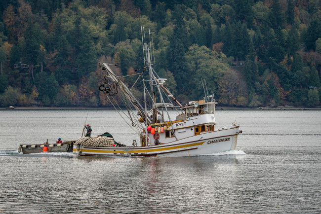 Обои картинки фото корабли, баркасы ,  буксиры, рыболов