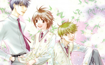 Картинка аниме hanakimi парни