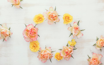 Картинка цветы розы roses wood flowers