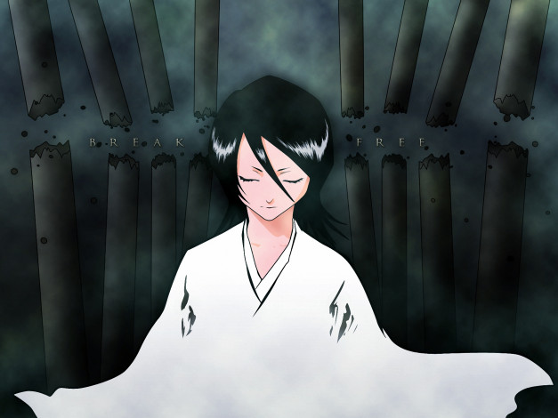 Обои картинки фото аниме, bleach, девушка, shinigami, kuchiki, шинигами, rukia