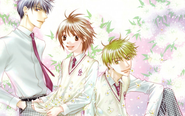 Обои картинки фото аниме, hanakimi, парни