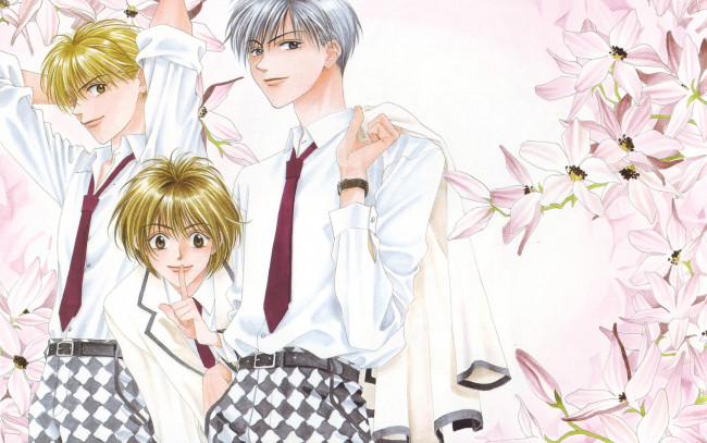 Обои картинки фото аниме, hanakimi, парни