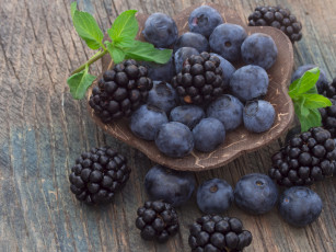 Картинка еда фрукты +ягоды ягода черника мята ежевика