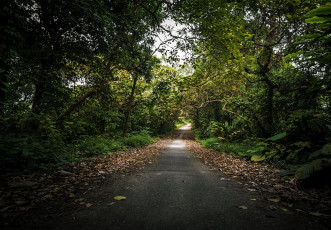 Картинка природа дороги простор