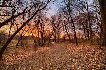 Картинка природа дороги простор