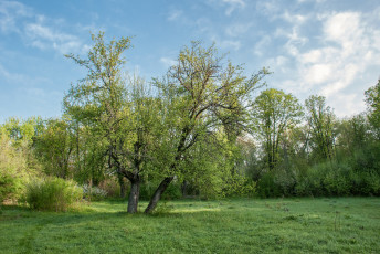 Картинка природа пейзажи простор