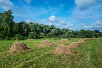 Картинка природа пейзажи простор