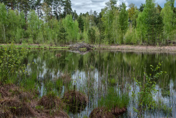 Картинка природа реки озера простор