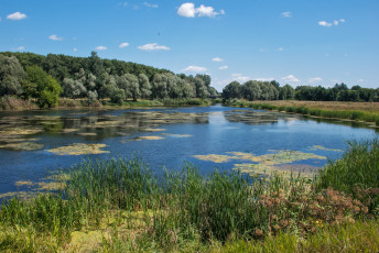 Картинка природа реки озера простор