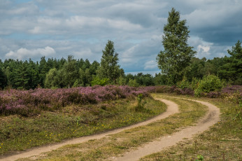 Картинка природа дороги простор