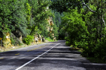 Картинка природа дороги простор