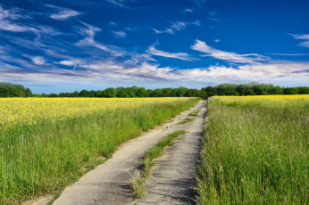 Картинка природа дороги простор