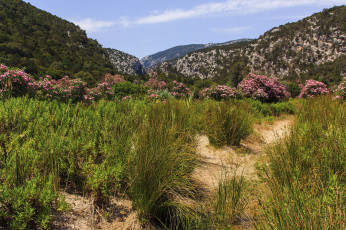 Картинка природа горы простор