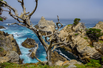 Картинка природа побережье простор