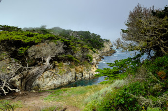 Картинка природа побережье простор