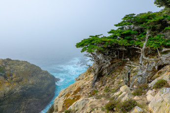 Картинка природа побережье простор