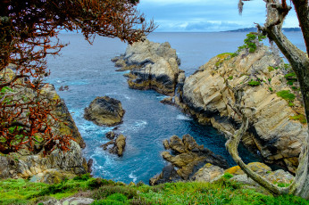 Картинка природа побережье простор