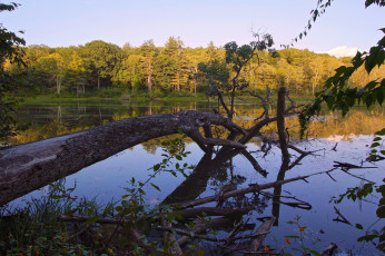 Картинка природа реки озера простор