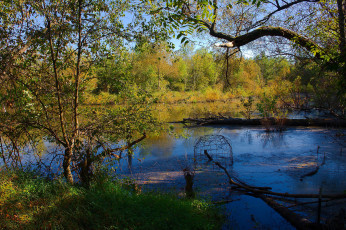 Картинка природа реки озера простор