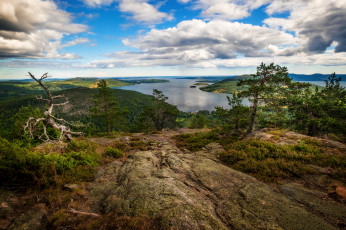 Картинка природа реки озера простор