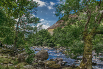 Картинка природа реки озера простор