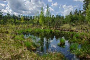 Картинка природа реки озера простор