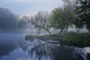 Картинка природа реки озера простор