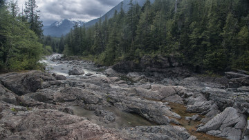 Картинка природа реки озера простор