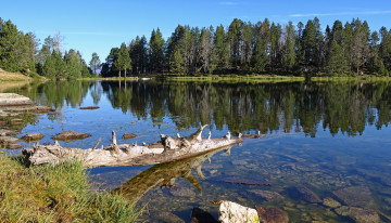 Картинка природа реки озера простор