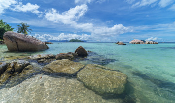 Картинка природа тропики пальмы камни море голубое небо облака