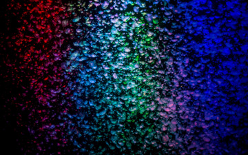 Картинка животные медузы