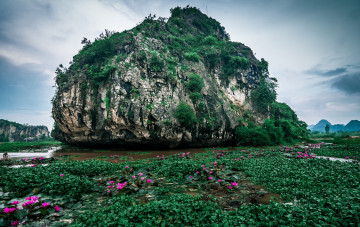 Картинка природа реки озера простор