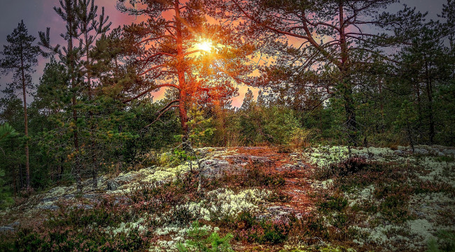 Обои картинки фото природа, восходы, закаты, простор