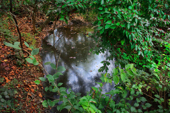 Обои картинки фото природа, реки, озера, простор