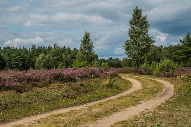 Обои картинки фото природа, дороги, простор